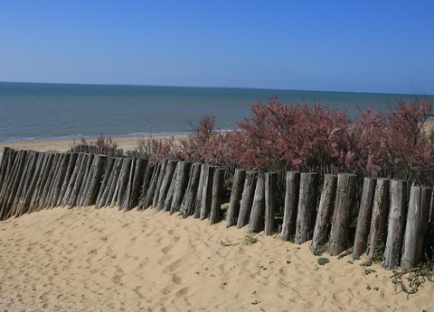 Camping maeva Club Les Préveils, 4* - 28