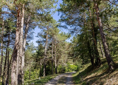 Camping Le Champ Long, 3* - 32