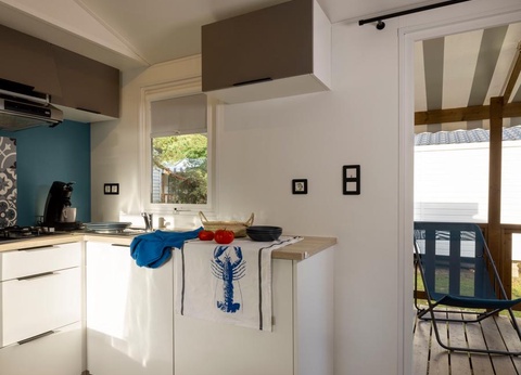 Flower Camping La Davière Plage, 4* - 35