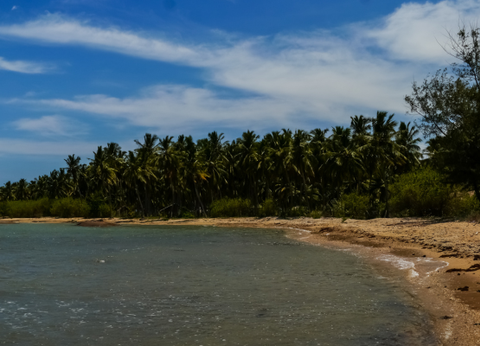 Circuit Découverte du Sri Lanka - 10