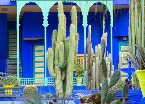 Saveurs du Maroc, Une aventure culinaire et culturelle - 11