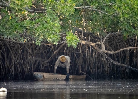 Circuit Sud Sénégal - 7