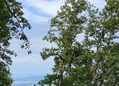 Camping Barco Reale, 4* - 31