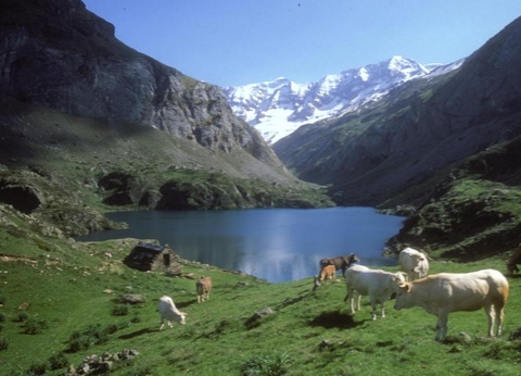 Camping Sites et Paysages - Pyrénévasion, 4* - 30