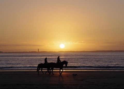 Camping Le Royan, 4* - 65