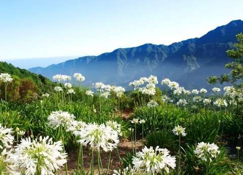 Circuit Nature et Traditions - 4