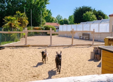 Camping Le Grand Pré, 2* - 6