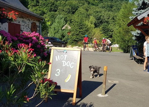 Camping La Forêt, 4* - 30