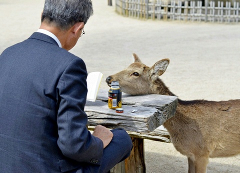 Autotour Japon : Grande Traversée des Alpes en 3* - 15