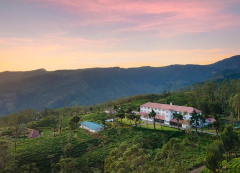 Circuit Lotus du Sri Lanka - 2