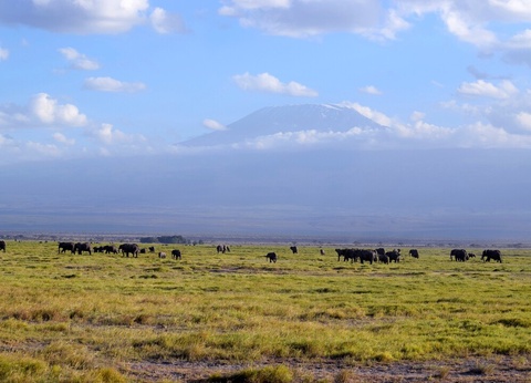 Safari Féeries d'Afrique - 2