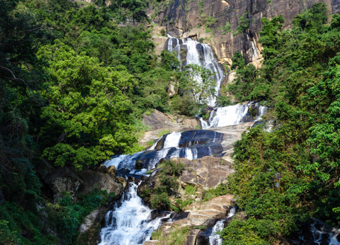 Circuit Sri Lanka Signature : Nature, Culture et Luxe - 10