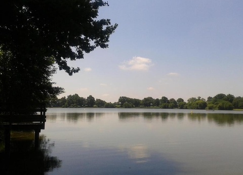 Camping OAKi, 3* - 18