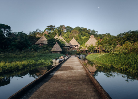 Circuit Joyaux Verts d'Amérique Centrale : du Costa Rica au Panama - 37