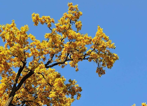 Hotel GHT Oasis Park & Spa en Pension complète 4* - 23