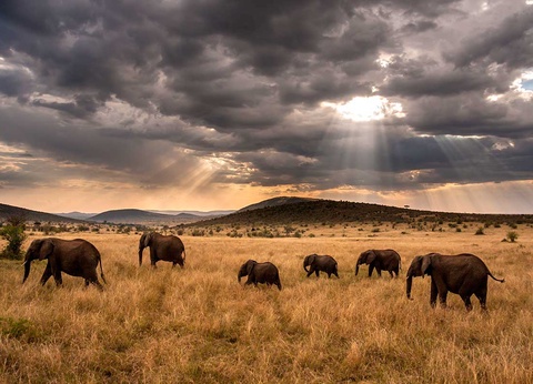 Circuit Safari Kilimandjaro 4* - 6