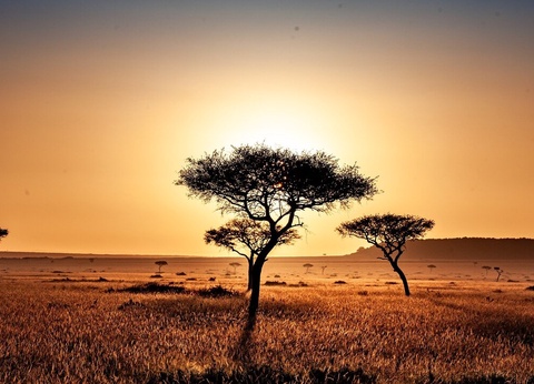 Safari Magie d'Afrique - 5