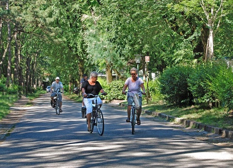 Camping Sabbiadoro, 3* - 9