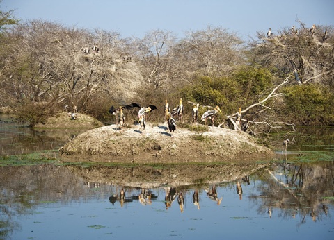 Circuit Rajasthan insolite - 17