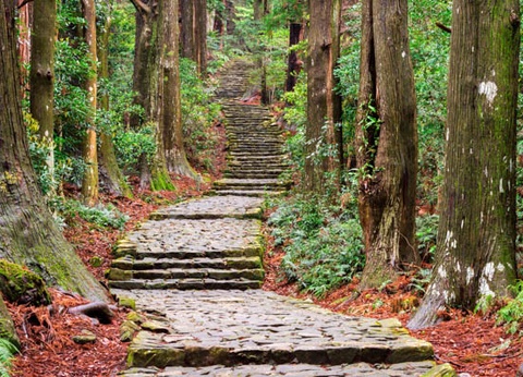 Circuit Traditions et culture du Japon 3* - 32