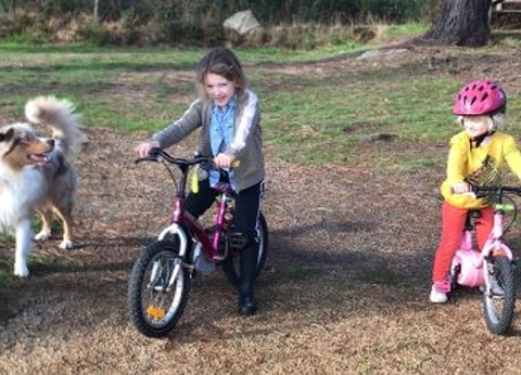 Camping West, 3* - 76