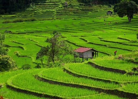 Circuit Orchidées, de Bangkok au Triangle d'Or - 21