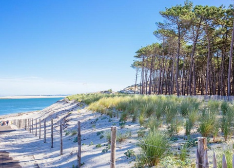 Camping Sea Green Domaine de La Forge, 4* - 28