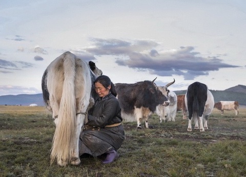 Mongolie, terre nomade + Gobi - 10