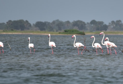 Circuit Privilège Sénégal en privatif - 40