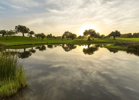 TUI Sélection Hôtel Robinson Quinta Da Ria - Choix flex **** - 25