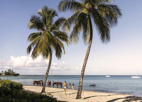 Hôtel Colony Club Luxury Collection Resort 4* - 5