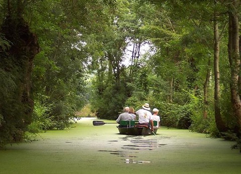Flower Camping L'Abri-Côtier, 3* - 249