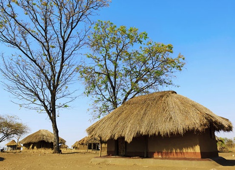 Circuit A la découverte de l'Afrique du Sud - 14