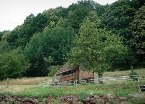 Camping Ramstein Plage, 3* - 12