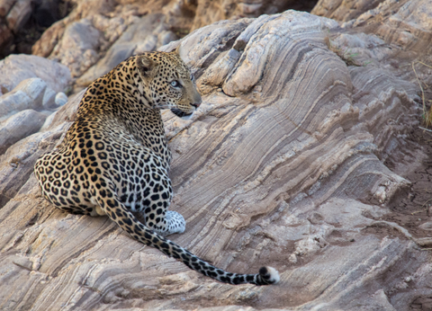 Circuit Safaris de Légende - 8