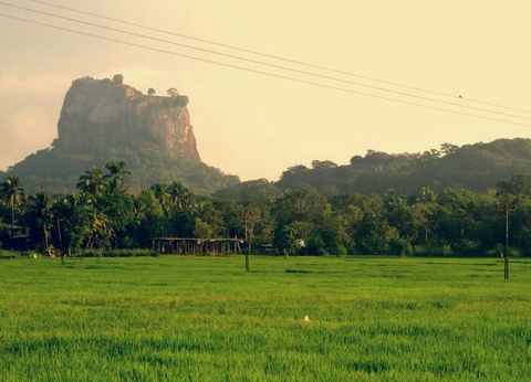 Circuit Escapade Sri Lankaise - 19