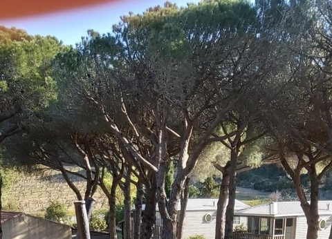 Camping Ushuaïa Villages Figurotta, 3* - 9