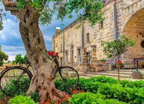 Hôtel Calanè Resort 4* - 12