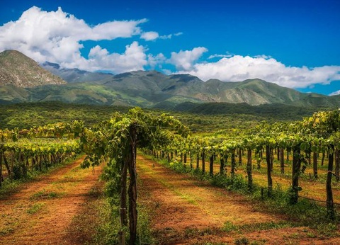 Circuit Splendeurs d'Argentine - 10