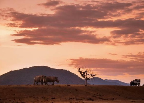 Chroniques d'Afrique Australe - Afrique du Sud, Zimbabwe, Eswatini - 19