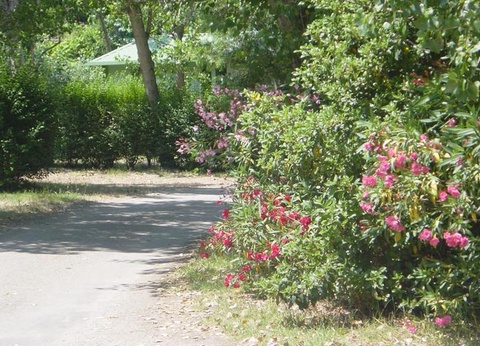 Camping Benista, 4* - 23