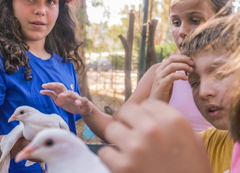 Camping U pezzo, 2* - 11