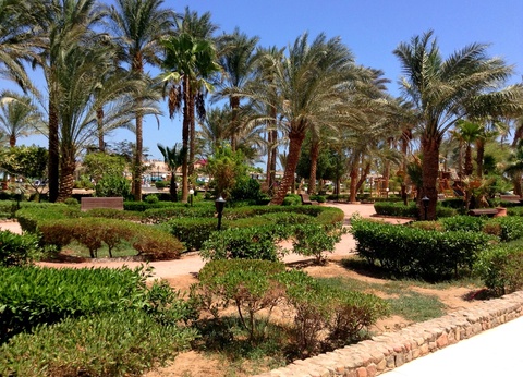 Hôtel Giftun Azur Resort 3* - 16