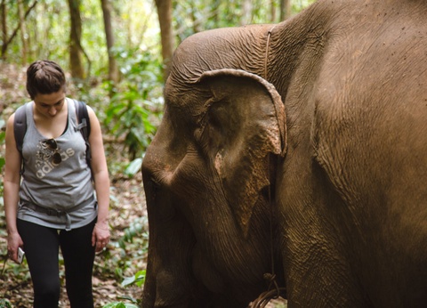 Circuit Cambodge secret, des îles du Mékong aux jungles du Mondulkiri - 12