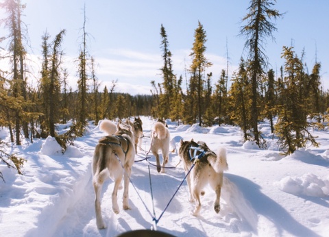 Hôtel Pite Havsbad - Séjour au coeur de la Laponie Suédoise - 8