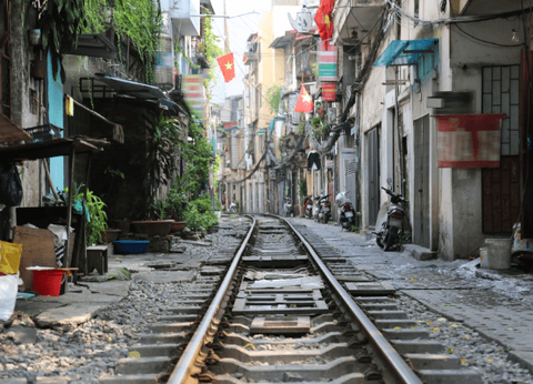 Circuit Lotus du Vietnam - 21