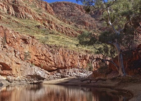 Mosaïque australienne - 13