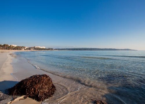 Hôtel Mariant 3* - 14