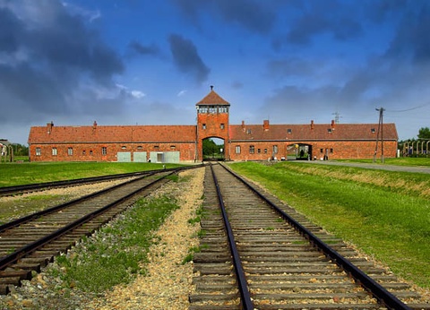 Circuit Toutes les richesses de Pologne 3* - 8