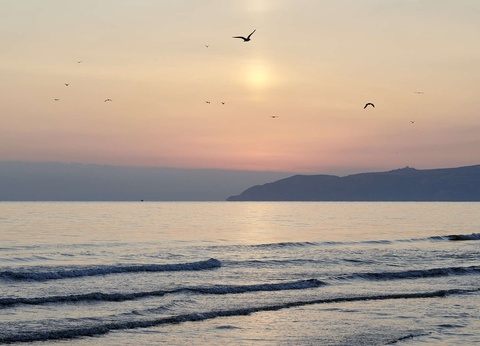 Club Coralia Iberostar Saïdia 5* - 13